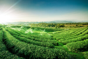 Virtual Travel to North-East India